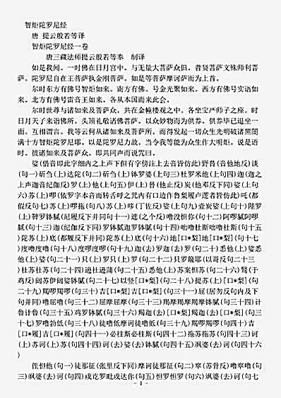 密教部.智炬陀罗尼经-唐-提云般若.pdf