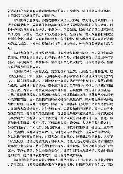 密教部.菩提塲庄严陀罗尼经-唐-不空.pdf