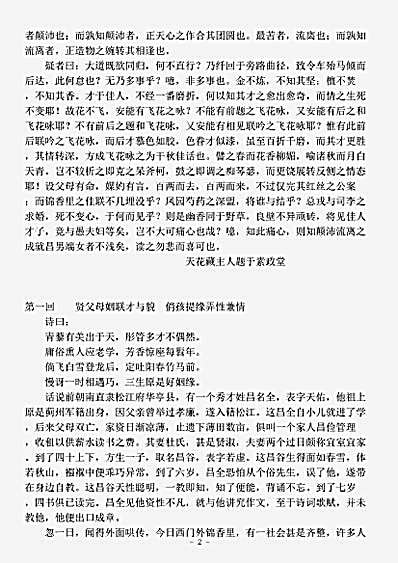 小说.飞花咏-清-佚名.pdf