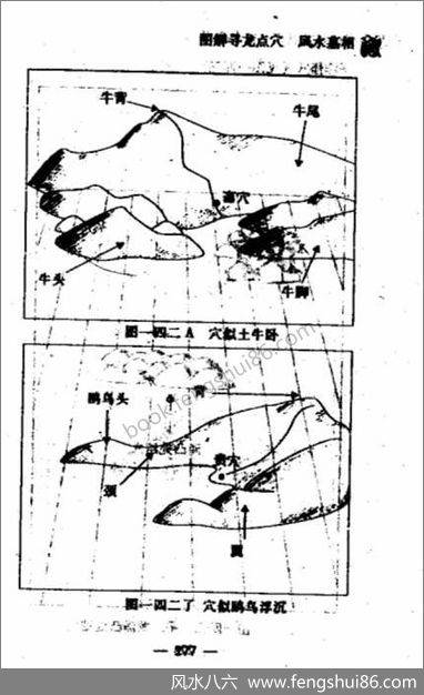 不过五_寻龙点穴_风水相墓5