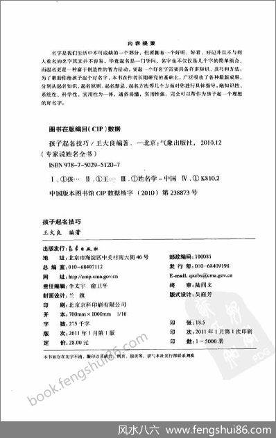 《孩子起名技巧》王大良
