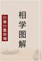 手相/面相/痣相/体相等风水相学 300本 打包价89元 手相/面相/痣相/体相等风水相学 300本 打包价89元