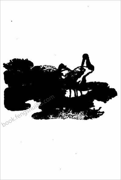 《神峰通考.点评版》邵伟华