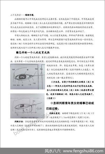 《手面相婚姻专题讲义》陈鼎龙