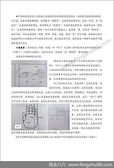 《手面相婚姻专题讲义》陈鼎龙