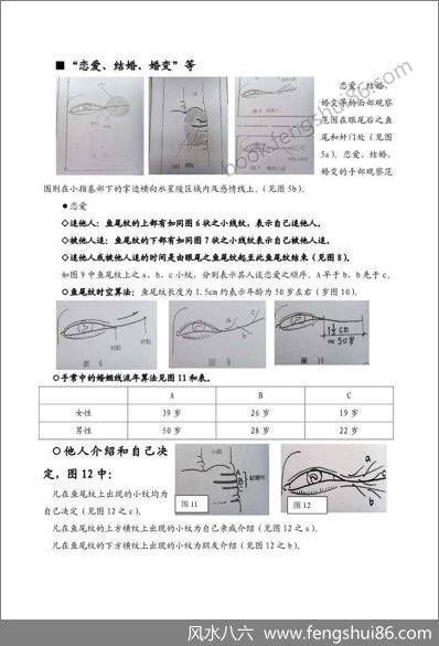 《手面相婚姻专题讲义》陈鼎龙