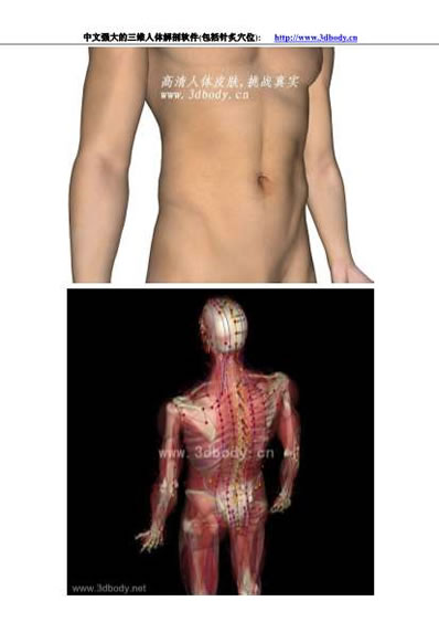 3D人体解剖图_针炙穴位图.电子版.pdf