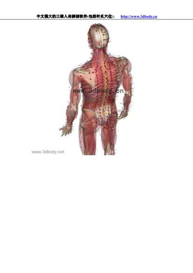 3D人体解剖图_针炙穴位图.电子版.pdf