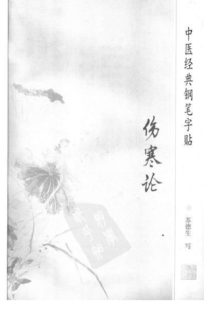 中医经典钢笔字帖-伤寒论.电子版.pdf