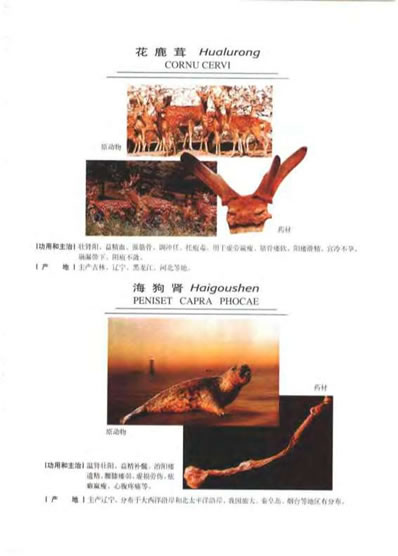 中华天然补品大全_张愈.电子版.pdf