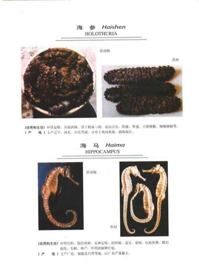 中华天然补品大全_张愈.电子版.pdf