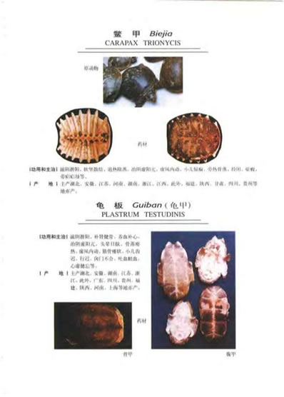 中华天然补品大全_张愈.电子版.pdf