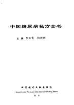 中国糖尿病秘方全书_1.电子版.pdf