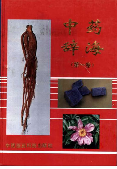 中药辞海-第一卷.电子版.pdf