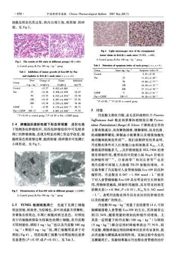 丹皮酚体内外抗人食管癌Eca-109细胞增殖及诱导凋亡的作用-.电子版.pdf