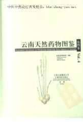 云南天然药物图鉴_第四卷.电子版.pdf