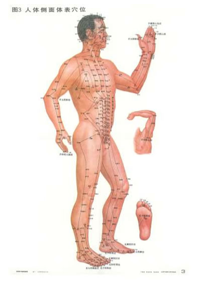 人体经络穴位图-针灸按摩必备.电子版.pdf