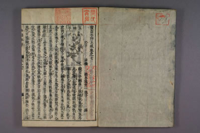 和语本草纲目_和刻本_0005.电子版.pdf