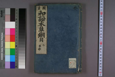 和语本草纲目_和刻本_0007.电子版.pdf