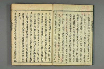 大和本草.日宽永刻本.0006.电子版.pdf