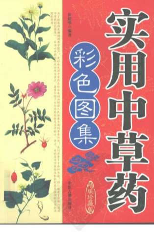 实用中草药彩色图集-常用中草药鉴别与应用.电子版.pdf