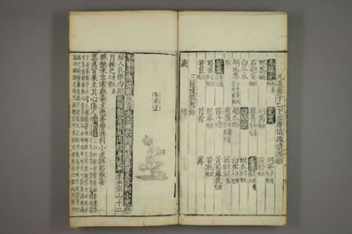 政和本草.明成化四年刻本.0010.电子版.pdf