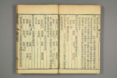 景岳全书.明-张景岳撰-乾隆33年藜照楼版-早稻田藏.034.电子版.pdf