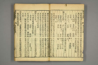 景岳全书.明-张景岳撰-乾隆33年藜照楼版-早稻田藏.039.电子版.pdf