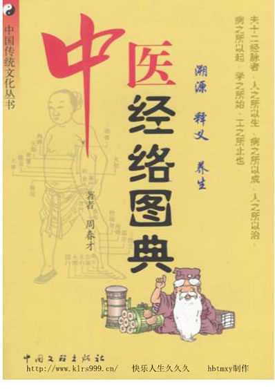 漫画中医经络图典.电子版.pdf