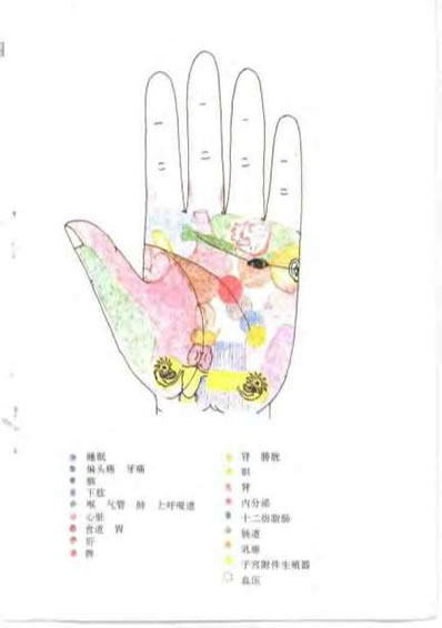 现代掌纹诊病_王晨霞.电子版.pdf