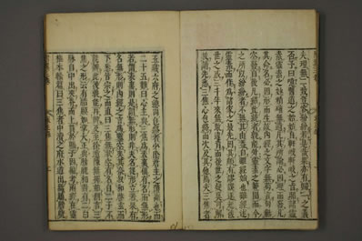 类经.明.张景岳.日本版.早稻田大学藏.0040.电子版.pdf