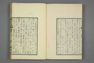 远西方药.日文版.0010.电子版.pdf