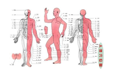 针灸图谱-人体穴位图-经络学图谱.电子版.pdf