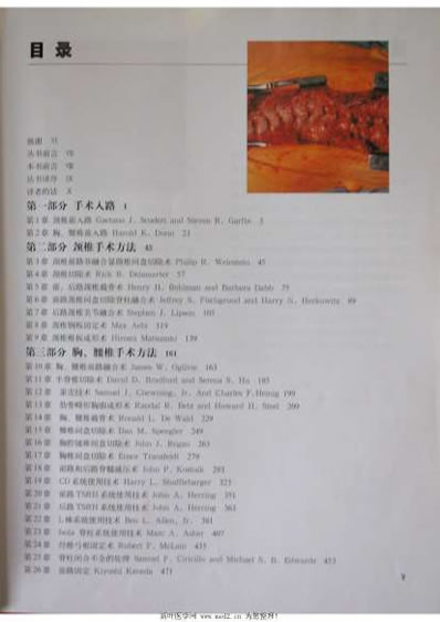 骨科标准手术技术丛书_脊柱.电子版.pdf