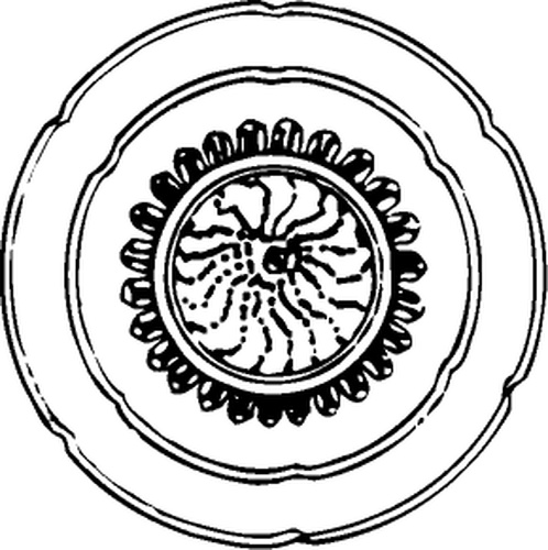 【宋代图腾】辽代陶瓷与金银铜器702606（290x291）