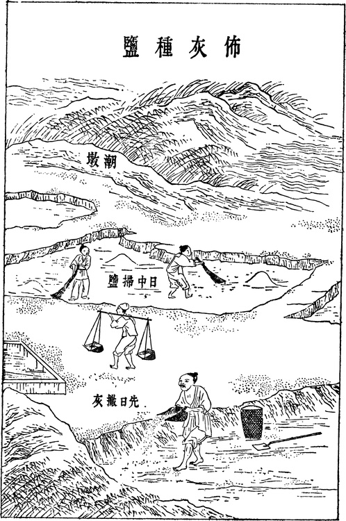 【古简笔版画】技术集C0402（1292x1945）