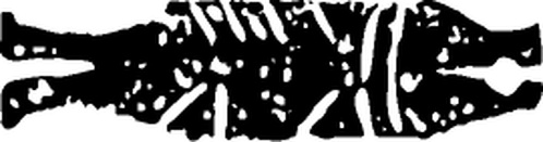 【商周图腾】商代后期青铜器与玉器207821（270x71）