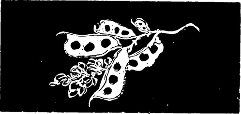 【清朝图腾】石雕与石刻911604（661x313）