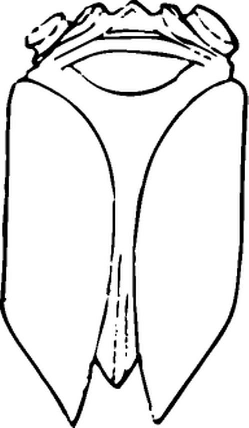 【秦汉图腾】西汉瓦当与纹408306(192x330) 【秦汉图腾】西汉瓦当与纹408306(192x330)