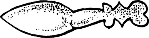 【近代图腾】花鸟底纹1101231（406x106）