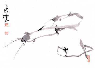 近代画.虾_8268.5888