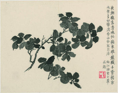 清代画.金农_杂画十二开_纸本_111_3795.2979