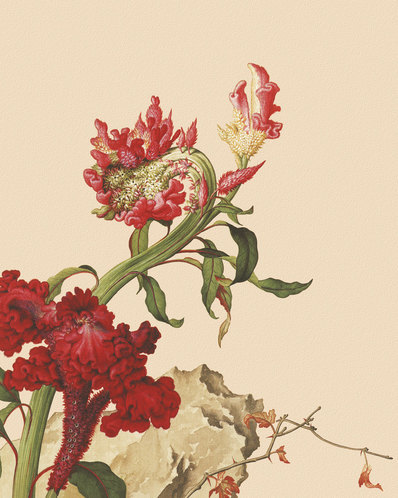清代画.郎世宁_花鸟画_8_4724.5906