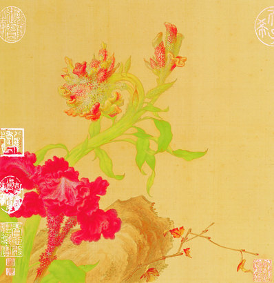 清代画.郎世宁_花鸟图册_7