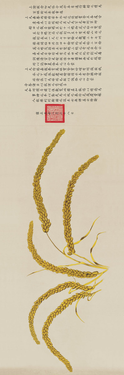 清_郎世宁_瑞谷图_像素22747x7541_分辨率339dpi