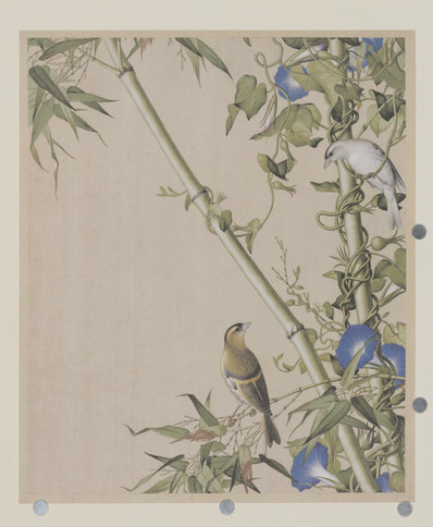 清代画.郎世宁_仙萼长春图_27_6220.7566