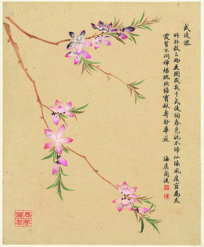 清代画.邹一桂_花卉八开_纸本_3084.3740