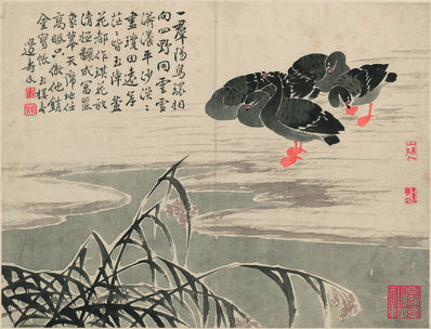 清代画.边寿民_芦雁图_4866.3717