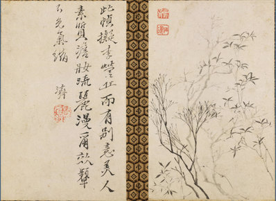 清代画.石涛_山水花卉图册_大都会_4117.3000