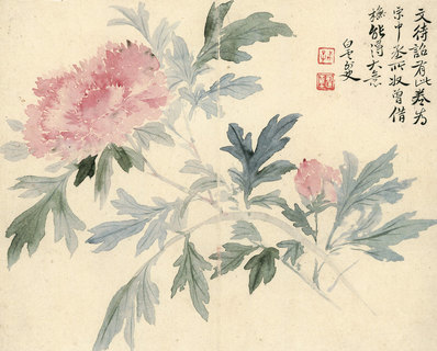 清代画.惲寿平_甌香馆写生册_牡_4262.3425